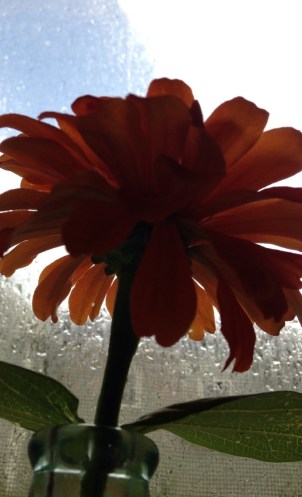 2014-07-28 10.50.47 (1)