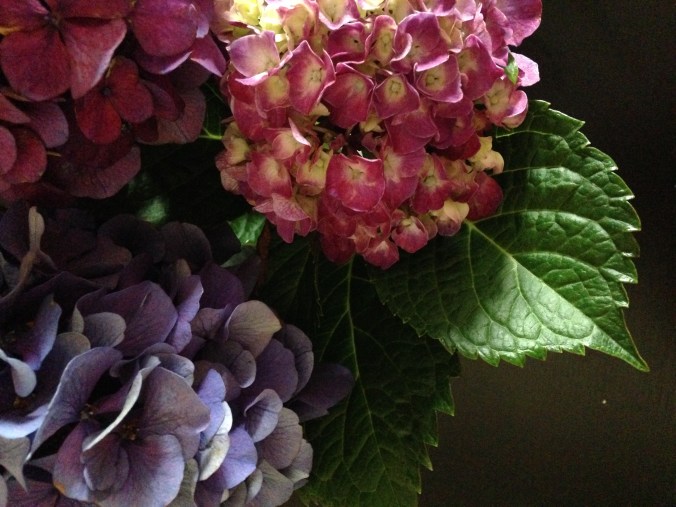 2015-08-02 14.22.24 a