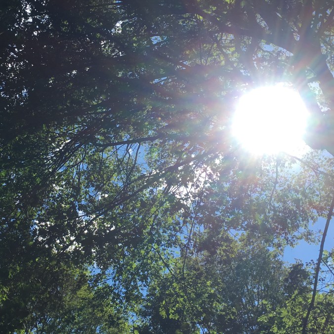 2016-08-29-15-01-40a