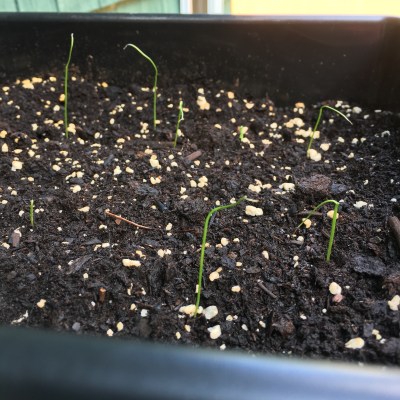 2018-08-15 15.06.54 HDR